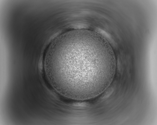 X0000098100202200804111029