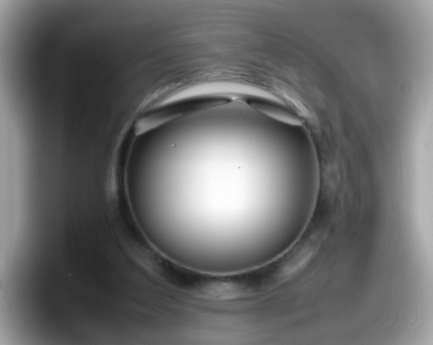 X0000098100203200804111029