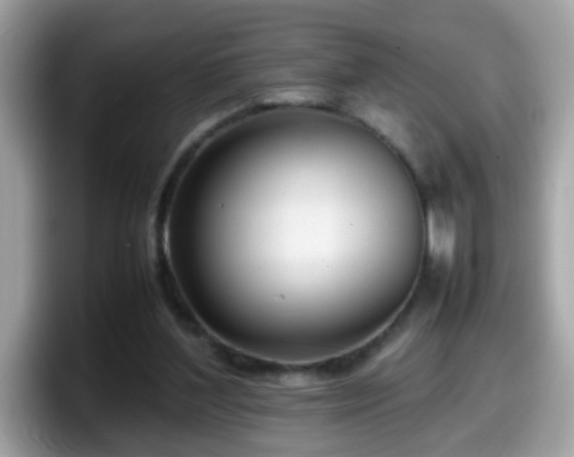 X0000098100204200804111029