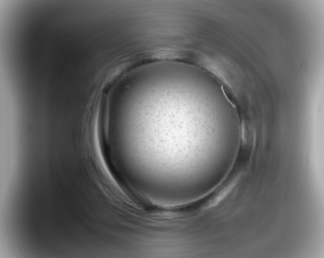 X0000098100205200804111029