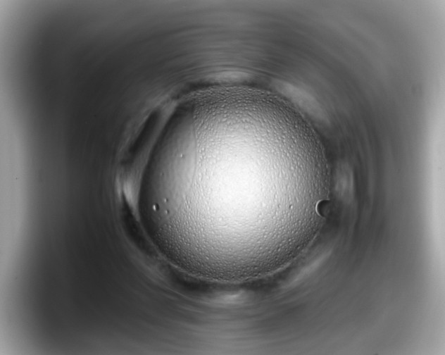 X0000098100206200804111029