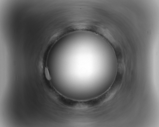 X0000098100207200804111029