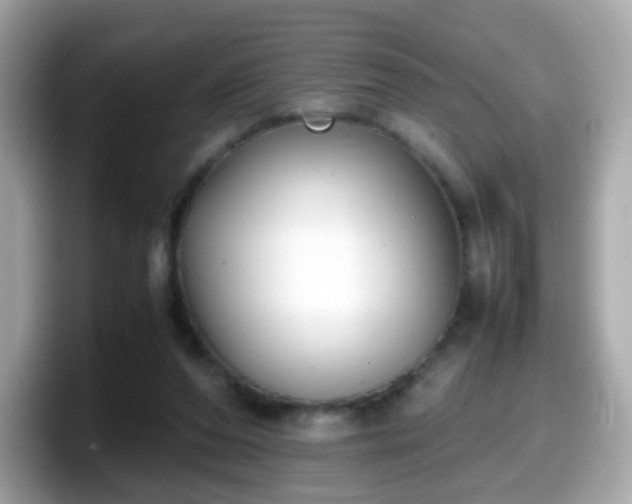 X0000098100208200804111029