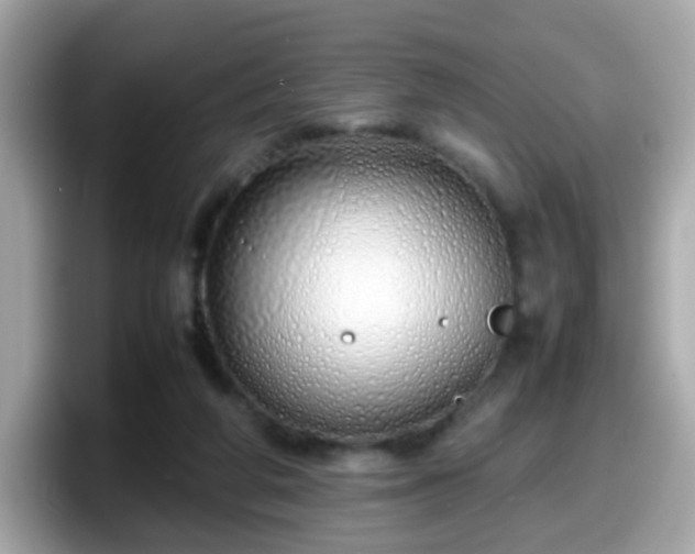 X0000098100210200804111029