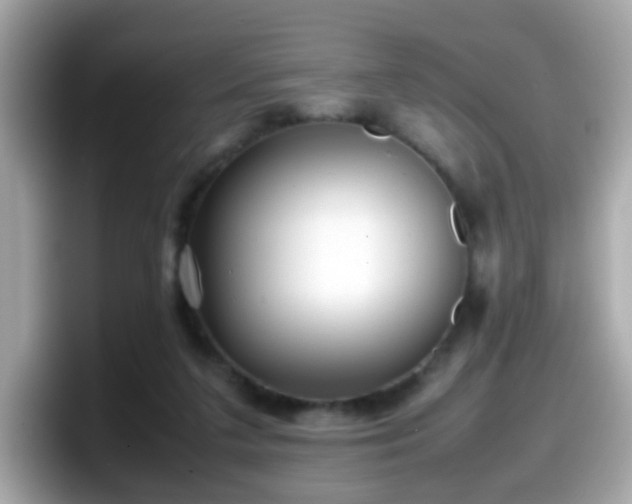 X0000098100211200804111029