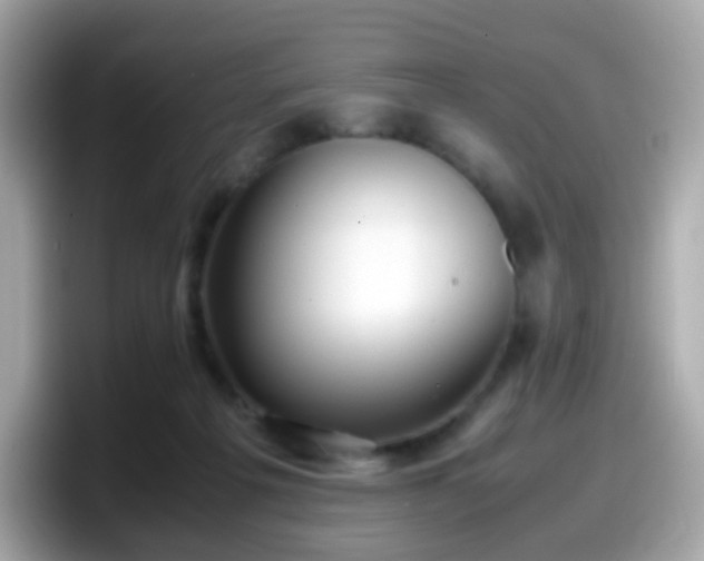 X0000098100217200804111029