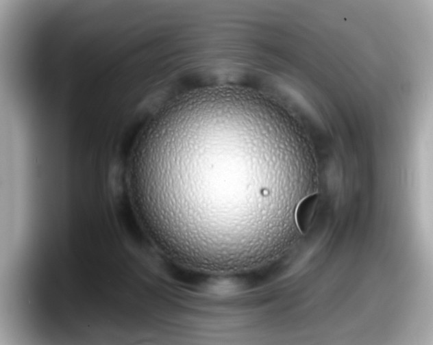 X0000098100218200804111029