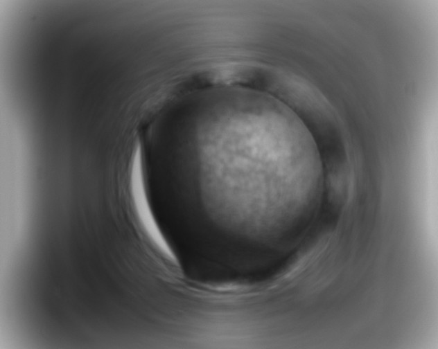 X0000098100219200804111029