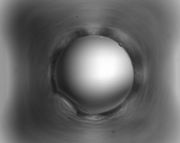 X0000098100221200804111029