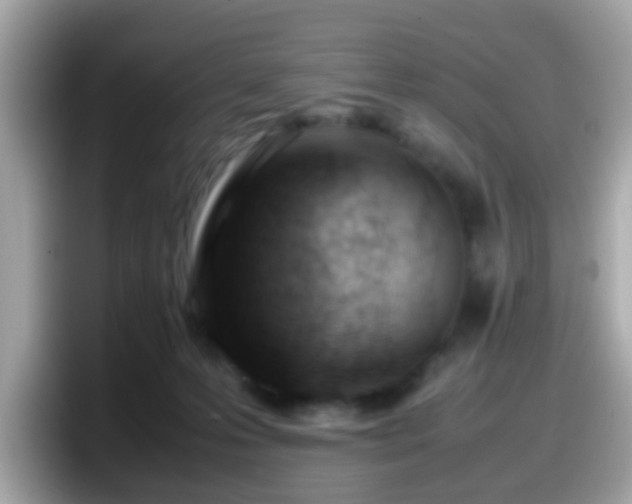 X0000098100223200804111029