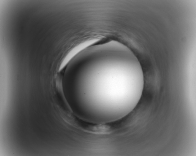 X0000098100225200804111029