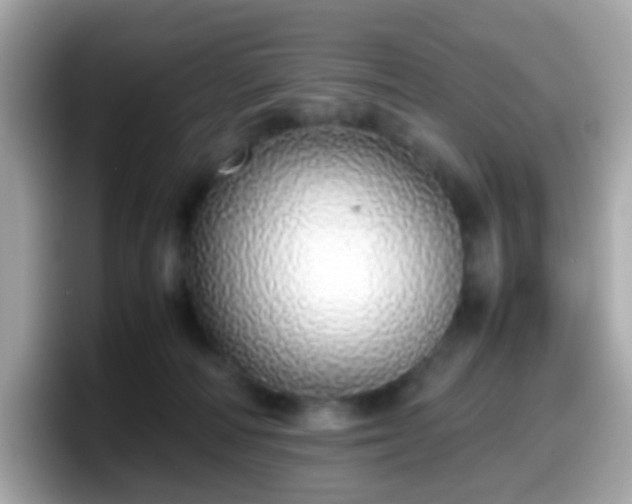X0000098100226200804111029