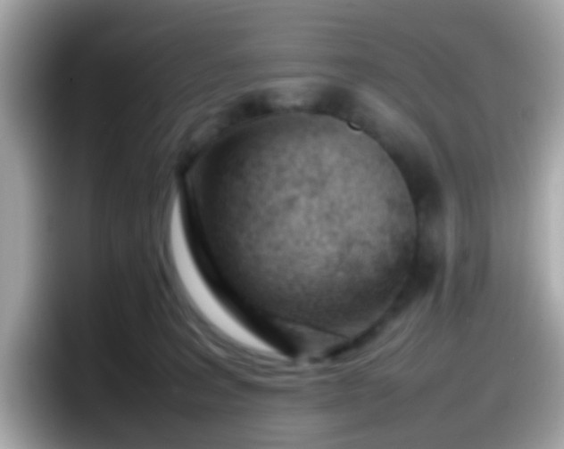 X0000098100227200804111029
