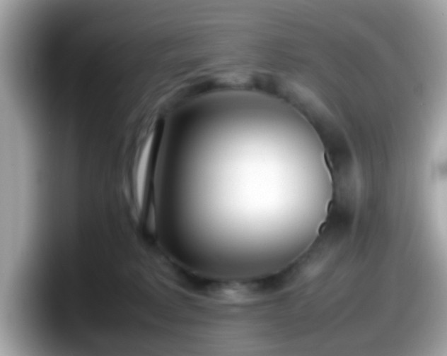 X0000098100229200804111029