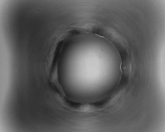 X0000098100231200804111029