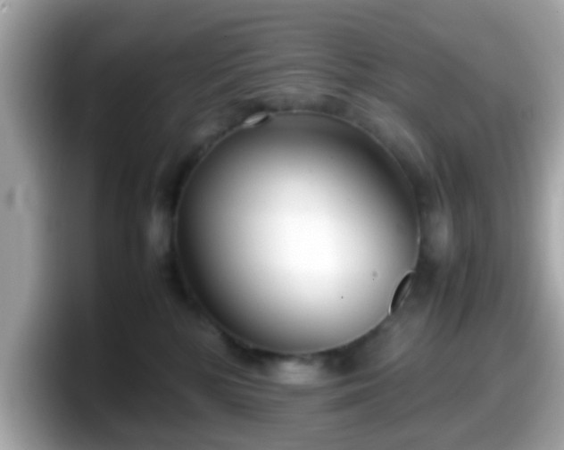 X0000098100232200804111029