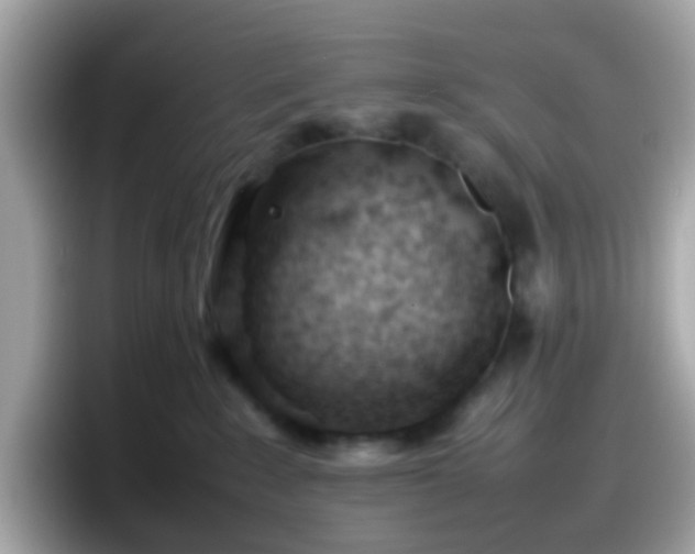 X0000098100235200804111029
