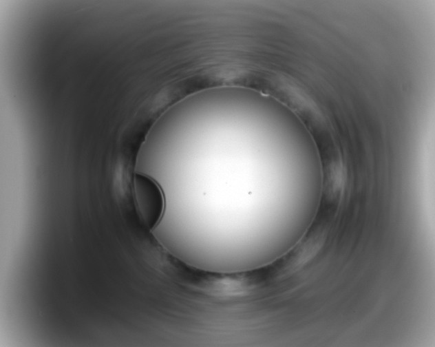 X0000098100236200804111029