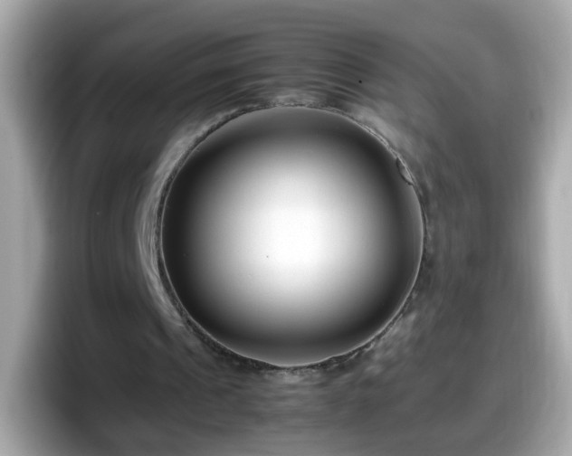 X0000098100241200804111028