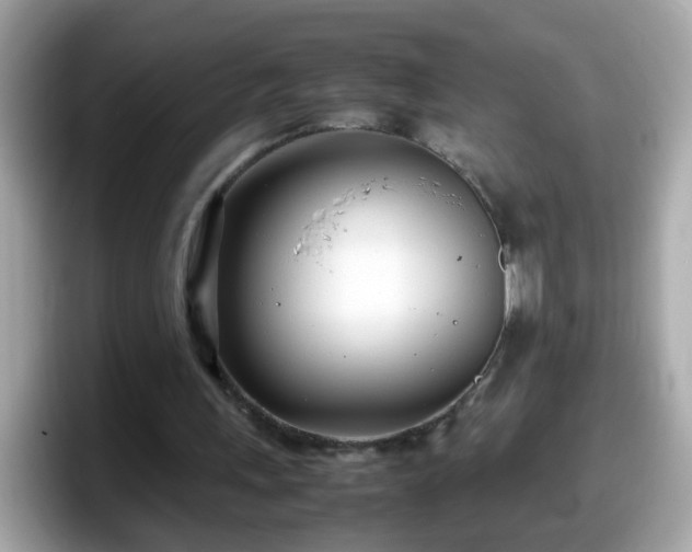 X0000098100243200804111028