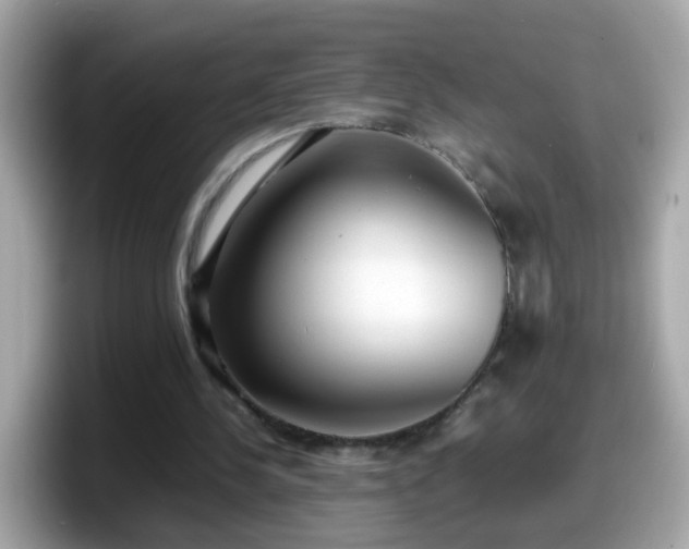 X0000098100244200804111028