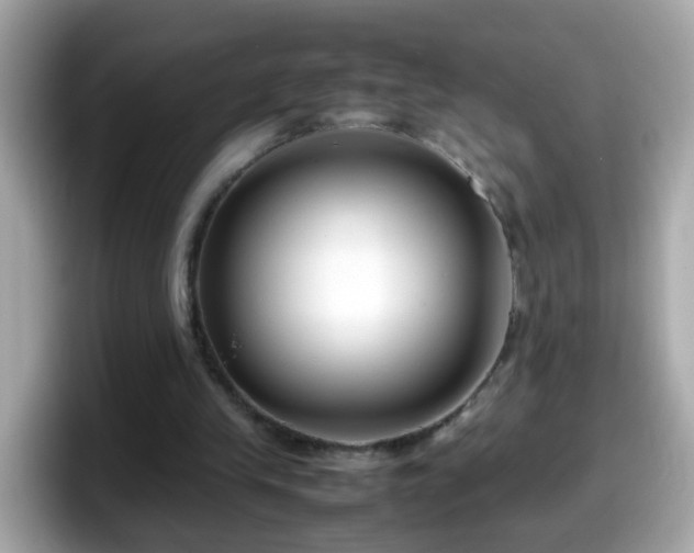 X0000098100245200804111028