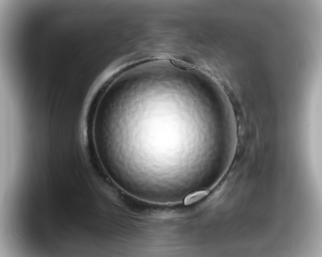 X0000098100246200804111028