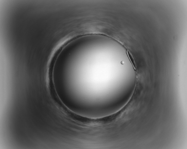 X0000098100248200804111028