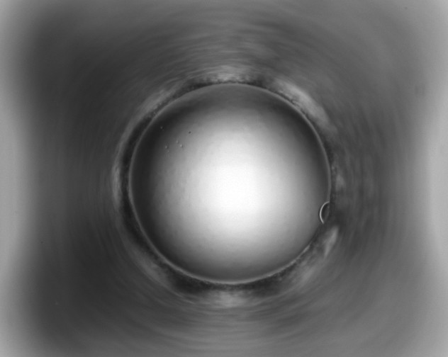 X0000098100250200804111028