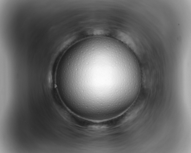 X0000098100251200804111028