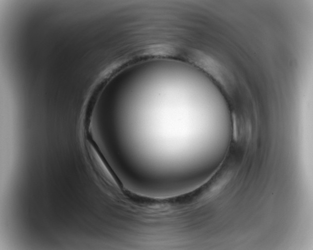 X0000098100252200804111028