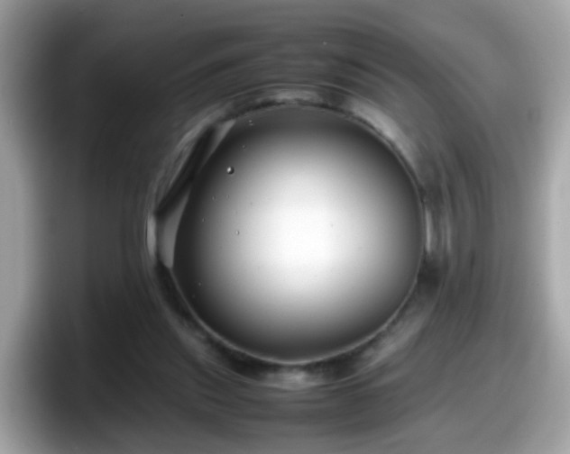 X0000098100253200804111028