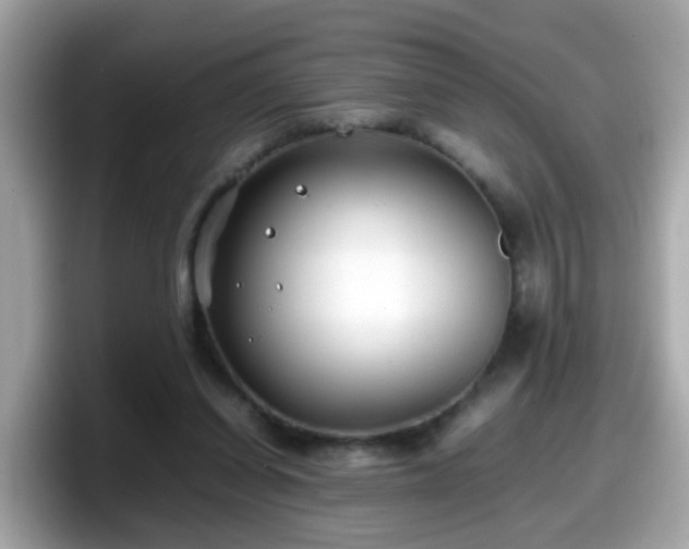 X0000098100254200804111028