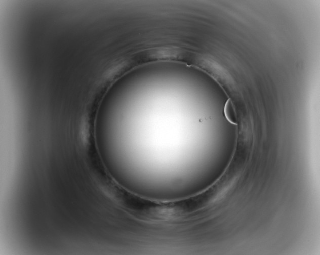 X0000098100255200804111028