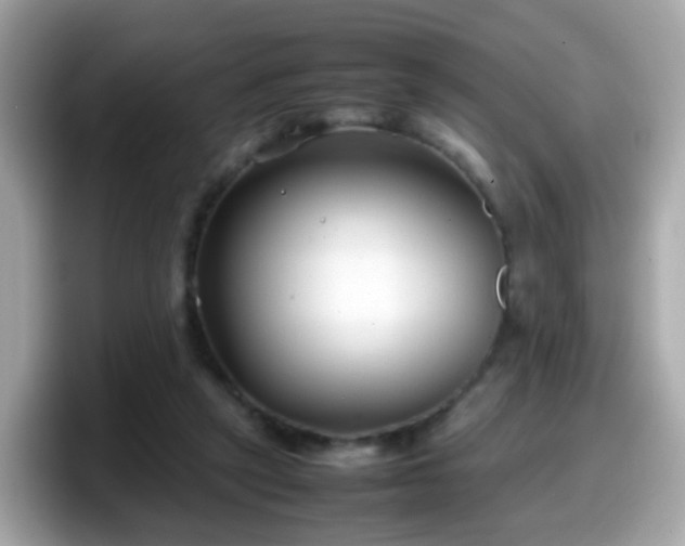X0000098100257200804111028