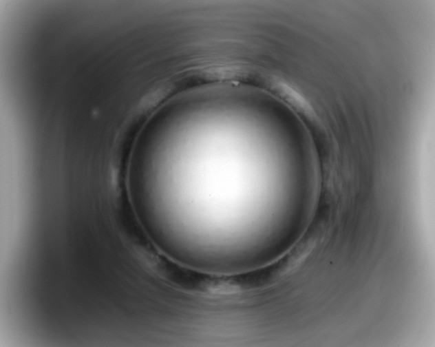 X0000098100258200804111028