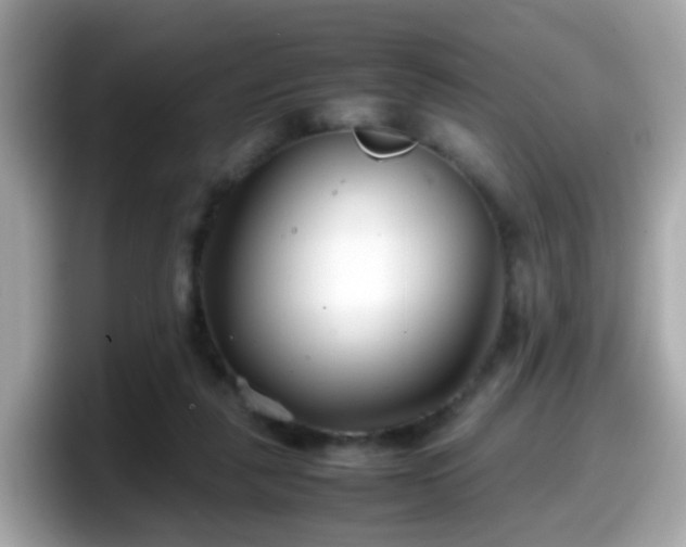 X0000098100259200804111028