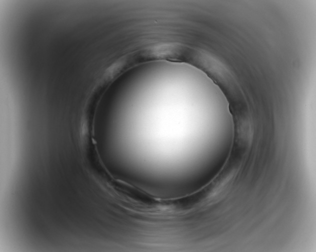 X0000098100260200804111028