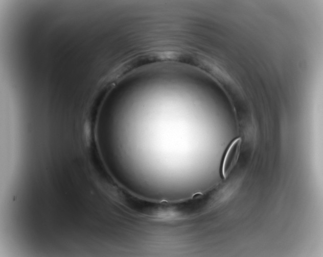 X0000098100262200804111028