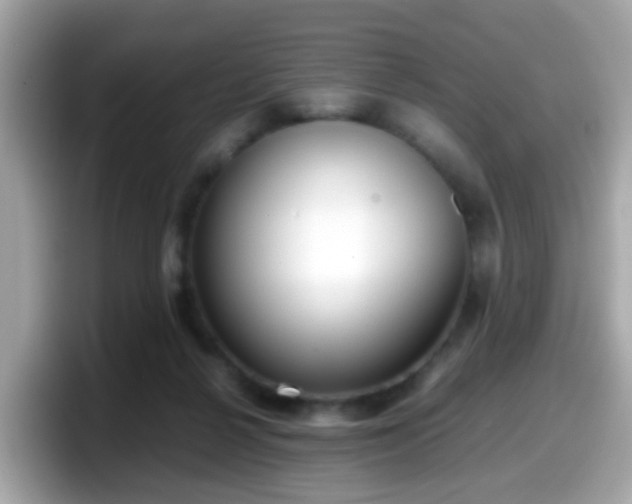 X0000098100264200804111028