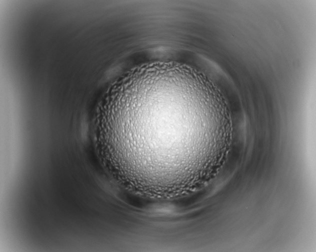X0000098100266200804111028