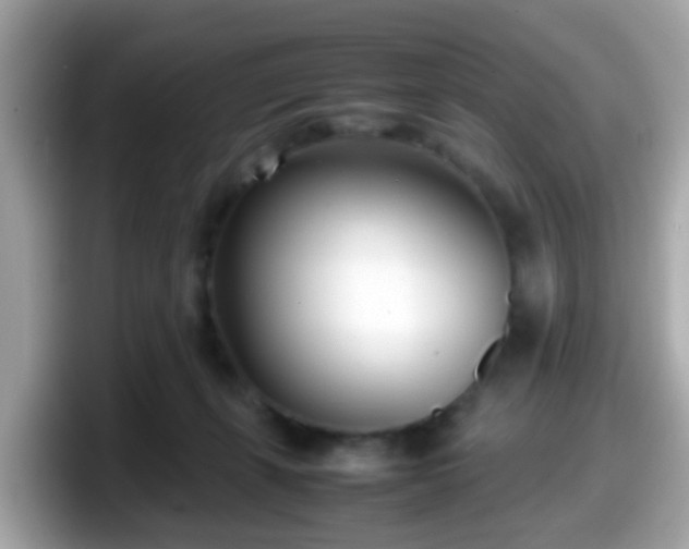 X0000098100271200804111029