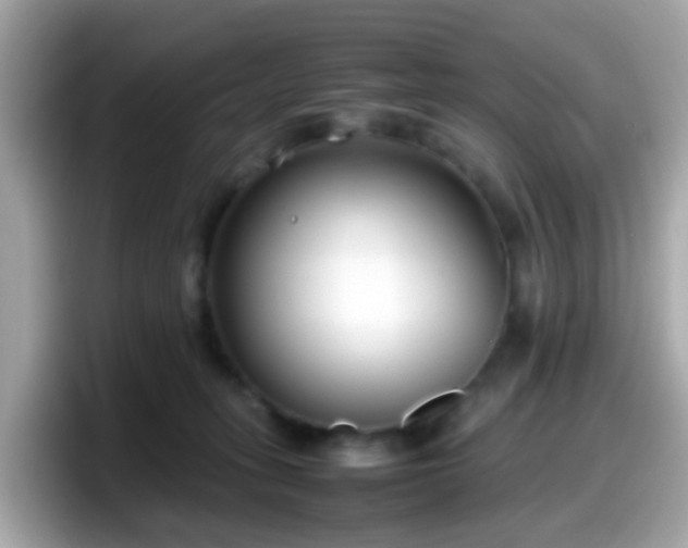 X0000098100275200804111029
