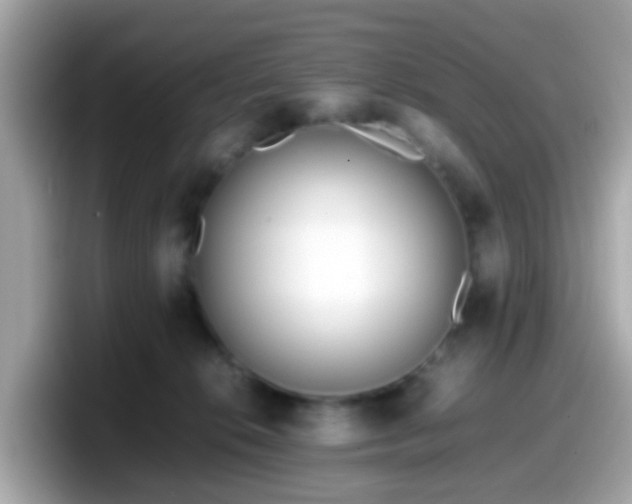 X0000098100276200804111029