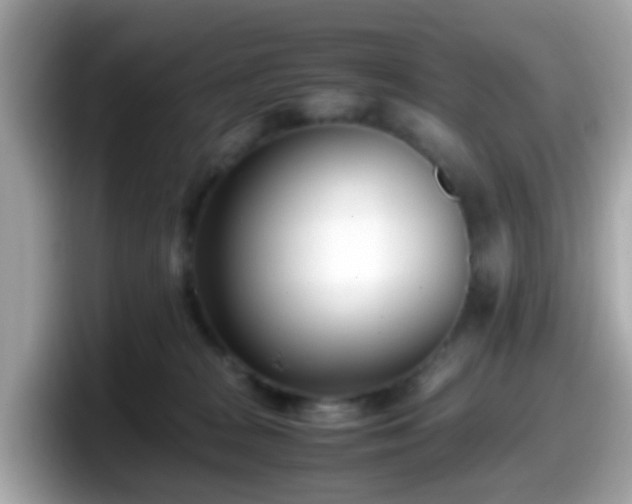 X0000098100277200804111029