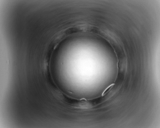 X0000098100279200804111029
