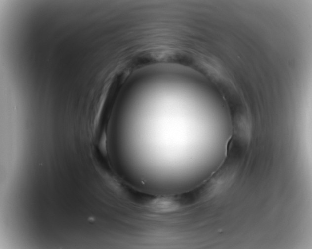 X0000098100280200804111029