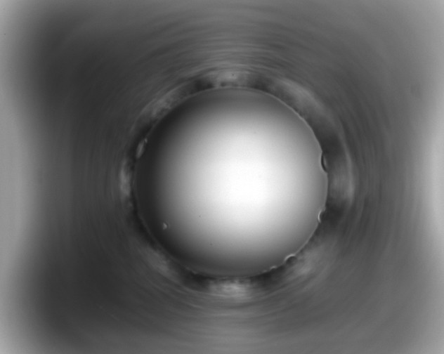 X0000098100282200804111029