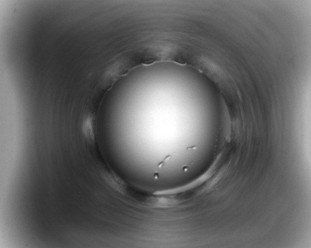 X0000098100286200804111029