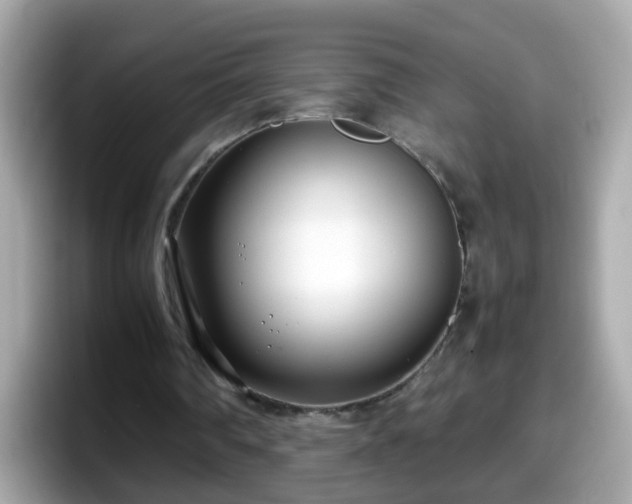 X0000098100290200804111028